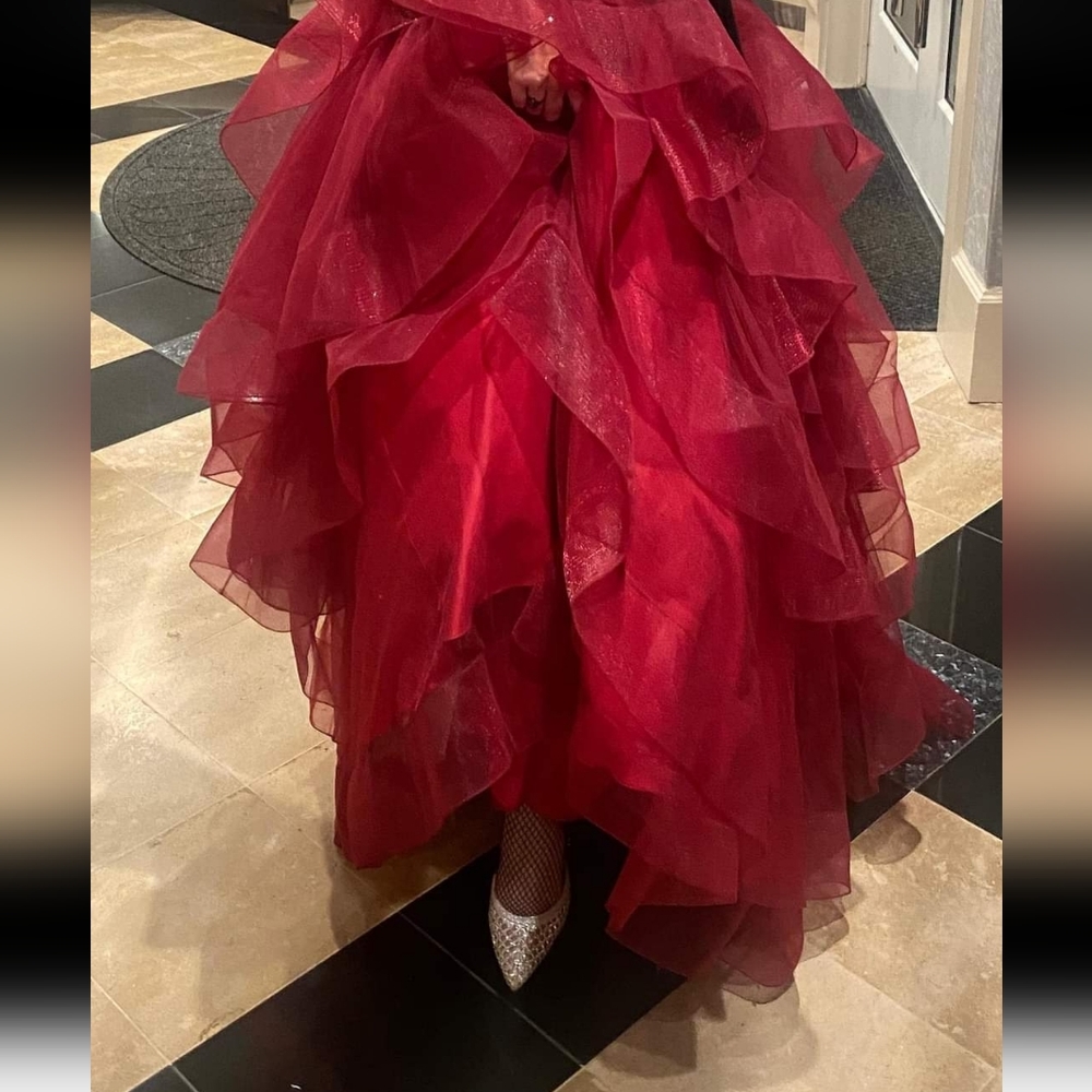 Ellie wilde dress size 10